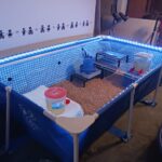 Intex 9.8ft x 6.6ft x 29.5in (300cm x 201cm x 75cm) Rectangular Above Ground Pool with Metal Frame & Flow Control Valve – Easy Setup Family Backyard Pool – 4,500L Capacity – Blue photo review