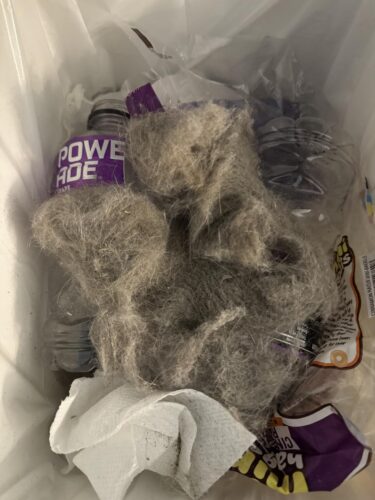 Shark AI Ultra Robot Vacuum – Self-Emptying, Smart Mapping, Matrix Clean, 60-Day XL Base, Pet Hair Pickup, Voice/App Control, LiDAR Navigation for Carpet & Hard Floors photo review