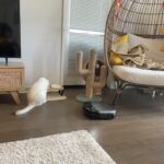 eufy Omni S1 Pro Robot Vacuum and Mop, 8000Pa Suction, Self-Emptying & Mop Washing, HydroJet Ozone Cleaning, Smart Obstacle Avoidance, All-in-One Station photo review