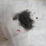 Shark AV2501S AI Ultra Robot Vacuum with HEPA Self-Empty Base, Matrix Clean Navigation, 30-Day Bagless Capacity, Smart Mapping, Voice/App Control, Perfect for Pet Hair & All Floors, Dark Grey photo review