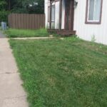 BLACK+DECKER 20V MAX Cordless 3-in-1 String Trimmer, 12″ (30.5 cm) Mower & Edger – Model MTC220 photo review