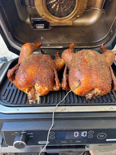 Ninja Woodfire Pro XL OG850 Electric Outdoor Grill and Smoker – 4-in-1 Portable BBQ with Built-In Thermometer, Air Fry, Bake, and Real Woodfire Flavor – Stainless Steel, 22-Inch, Dark Grey photo review