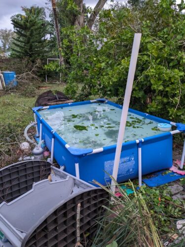 Intex 9.8ft x 6.6ft x 29.5in (300cm x 201cm x 75cm) Rectangular Above Ground Pool with Metal Frame & Flow Control Valve – Easy Setup Family Backyard Pool – 4,500L Capacity – Blue photo review