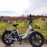 ENGWE L20 BOOST 20″ / 508 mm Fat-Tyre E-Bike – 250 W Motor, 48 V 13 Ah Battery, 75 Nm Torque, 150 km / 93 mi Range photo review