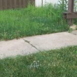 BLACK+DECKER 20V MAX Cordless 3-in-1 String Trimmer, 12″ (30.5 cm) Mower & Edger – Model MTC220 photo review