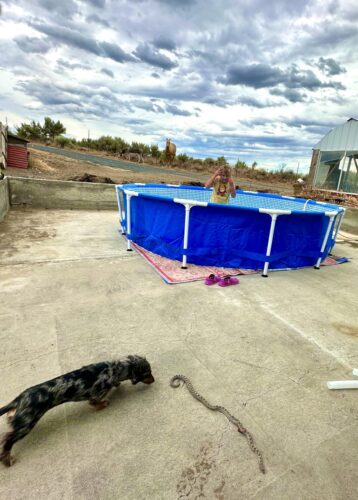 Intex 28211EH Metal Frame Pool Set – 12ft (3.66m) x 30in (76cm) Round Above Ground Swimming Pool with 530 GPH Pump – 1,718 Gallon (6,504L) Capacity – 3-Ply Puncture-Resistant PVC – Rust-Resistant Frame photo review